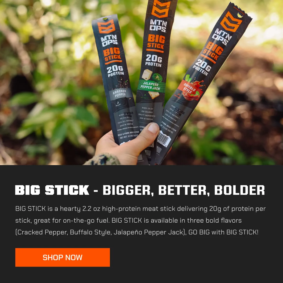 BIG STICK - Image 15