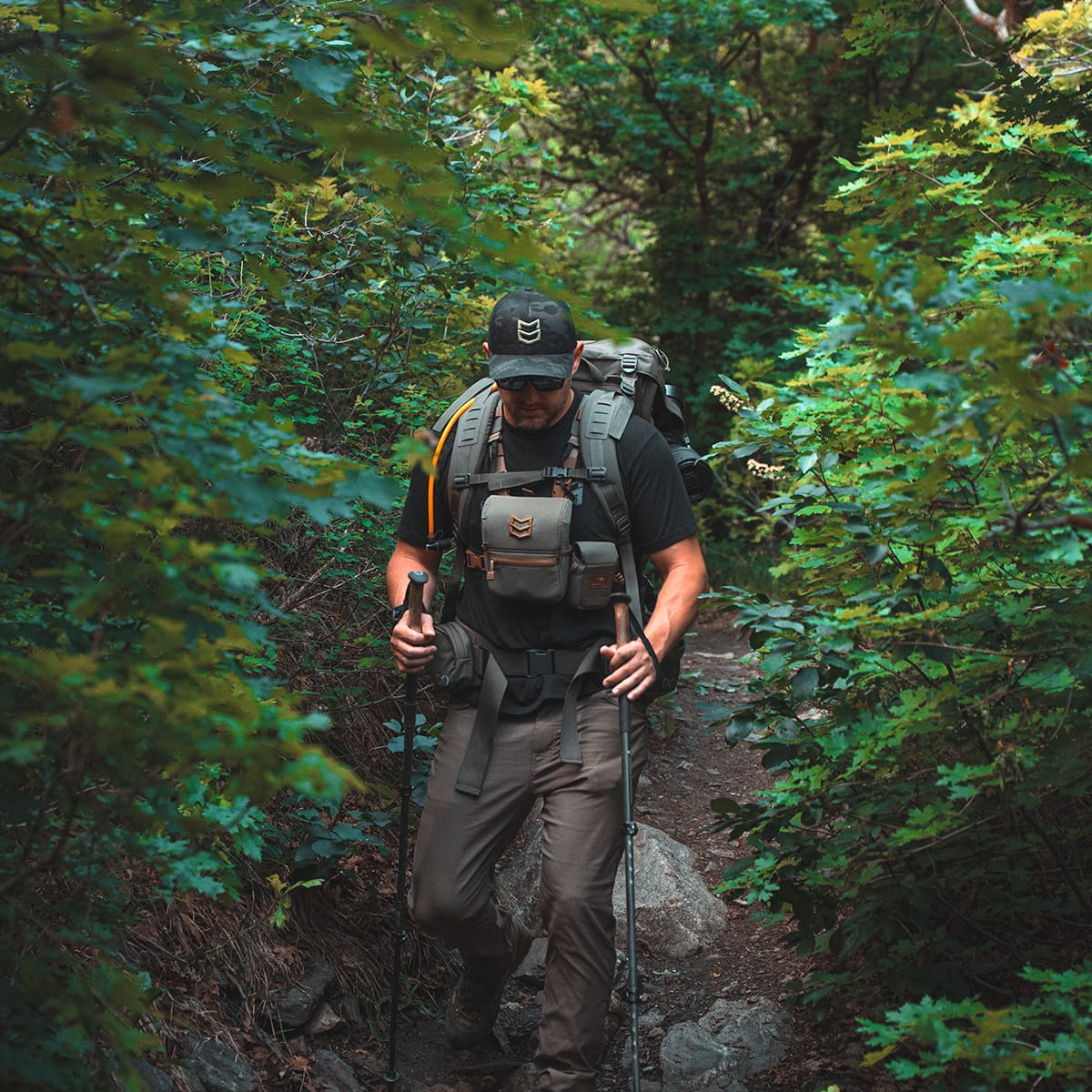 BINO HARNESS - Image 7