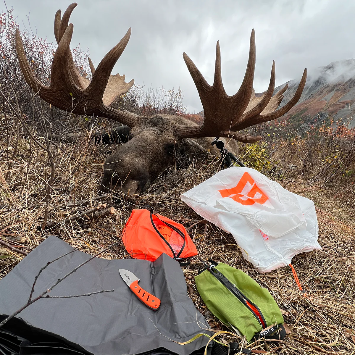 GAME BAGS - Image 4