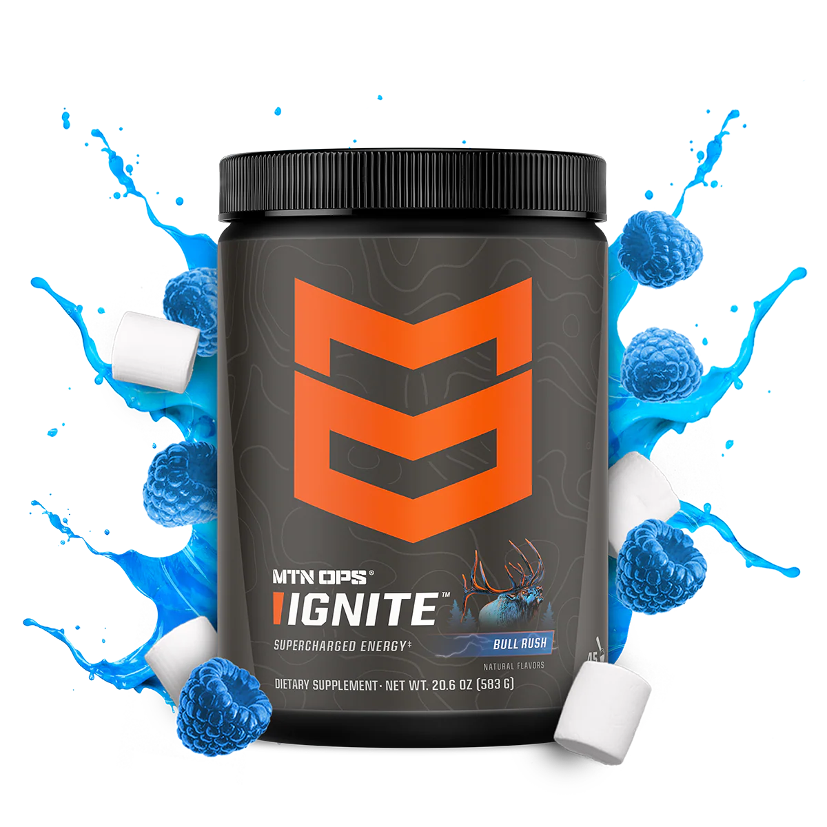 IGNITE - Image 12