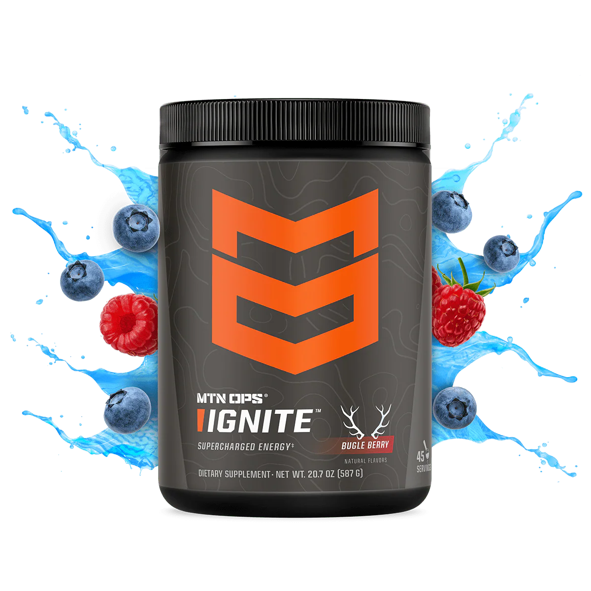 IGNITE - Image 4